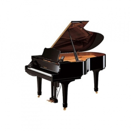 Дисклавир Yamaha DC3A PE, фото 